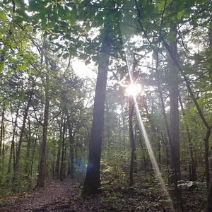 Meet your Posher, Cel